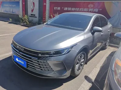 BYD Destroyer 05