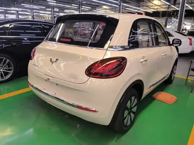 Wuling Bingo