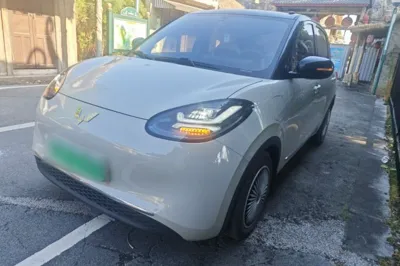 Wuling Bingo