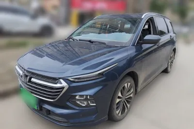 Wuling Victory
