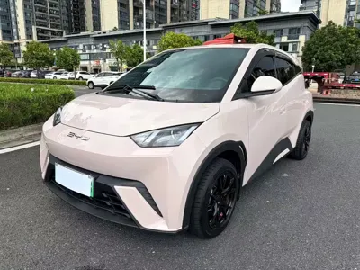 BYD Seagull