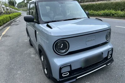 Geely Galaxy Panda