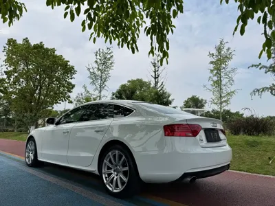 Audi A5 (Import)