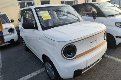 Geely Galaxy Panda