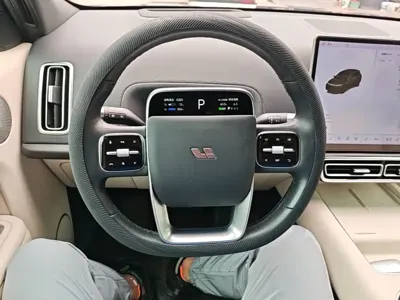 Li Auto Li L7
