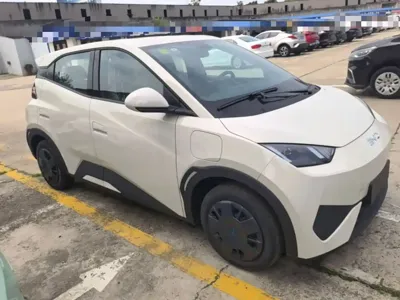 BYD Seagull
