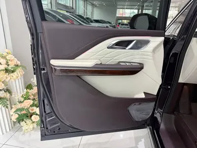 Hongqi Hongqi HQ9