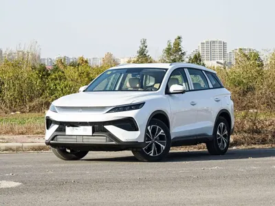BYD Pro New Energy