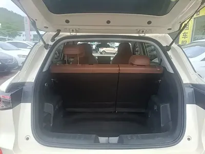 Wuling 缤果S