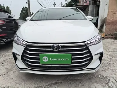 BYD MAX