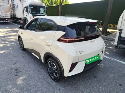 BYD Seagull