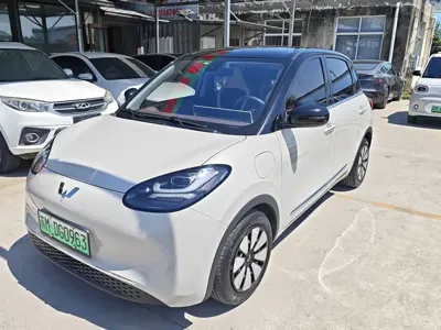 Wuling Bingo