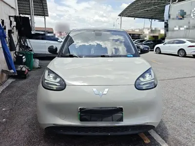 Wuling Bingo