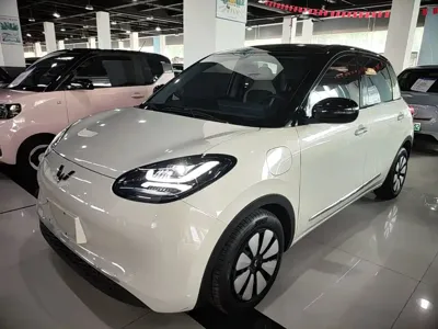 Wuling Bingo