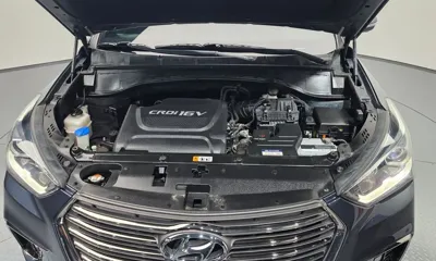 Hyundai Maxcruz