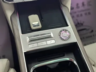 Zeekr 极氪9X