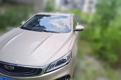 Geely Auto Binray