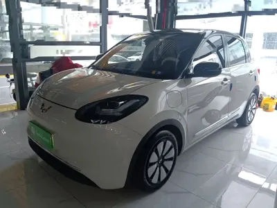 Wuling Bingo