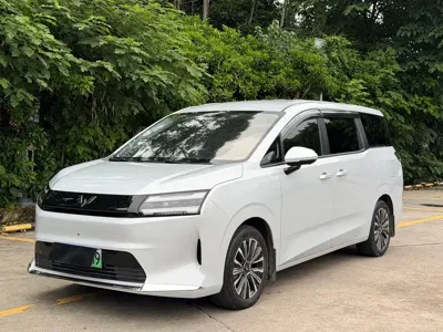 Wuling 星光730新能源