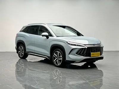 BYD L DM-i
