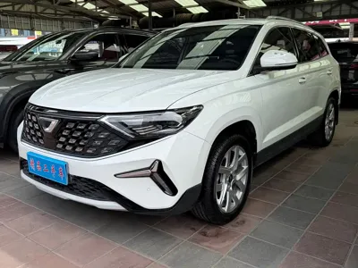 Jetta VS7