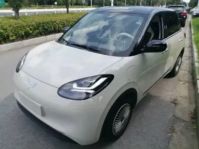 Wuling Bingo