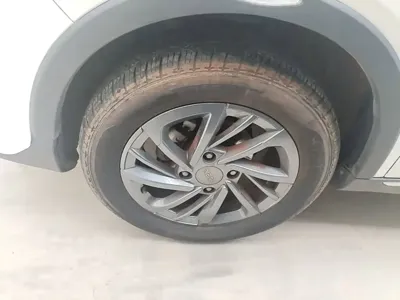 NETA Neta V