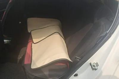 Baojun 310
