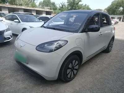 Wuling Bingo