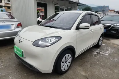 Wuling Bingo