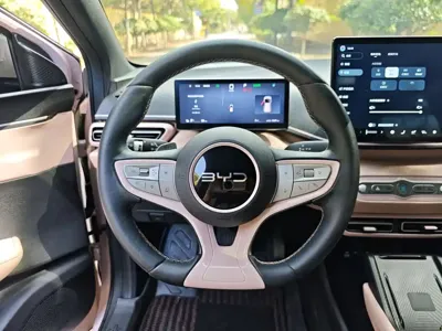 BYD Seagull