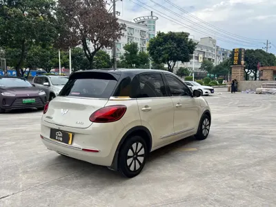 Wuling Bingo