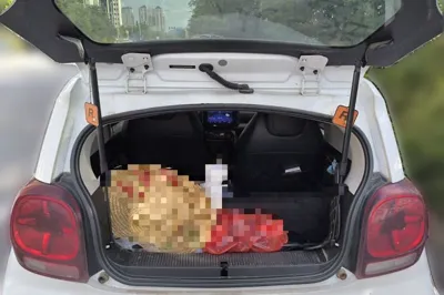 Roewe Clever