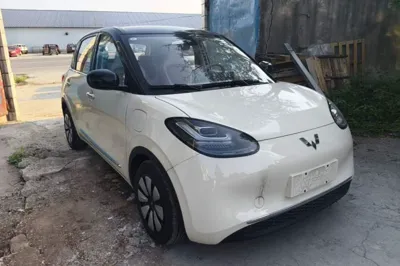 Wuling Bingo
