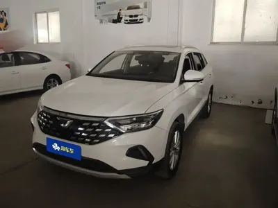 Jetta VS7