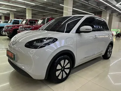 Wuling Bingo