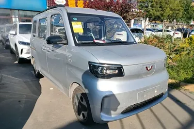 Wuling Zhiguang New Energy