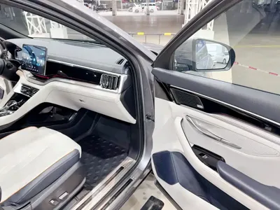 BYD PLUS New Energy