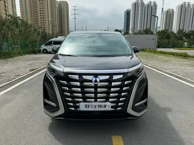 Denza Denza D9