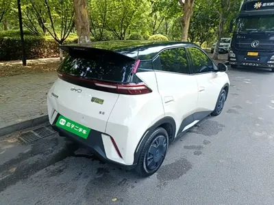 BYD Seagull