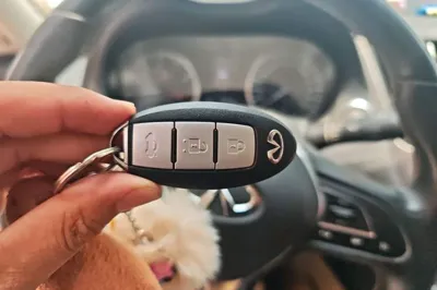 Infiniti Q50L