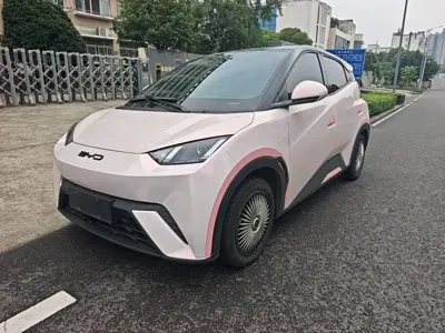 BYD Seagull