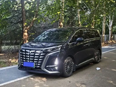 Denza Denza D9
