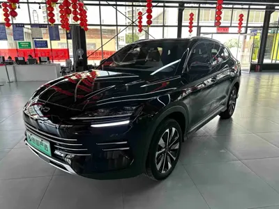 BYD PLUS New Energy
