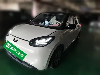 Wuling Bingo