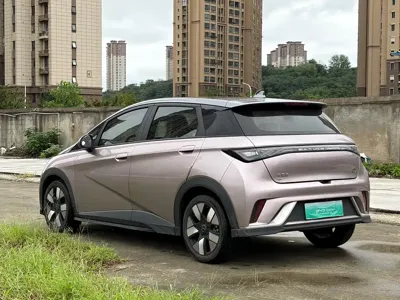 BYD Dolphin