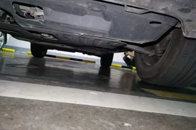 Haval H Dog New Energy