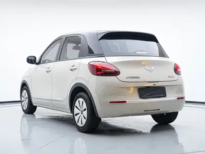 Wuling Bingo