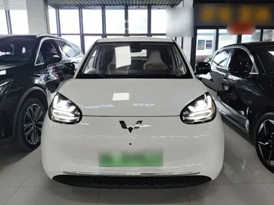 Wuling Bingo