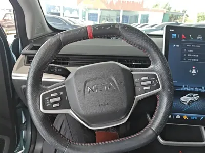 NETA Neta V